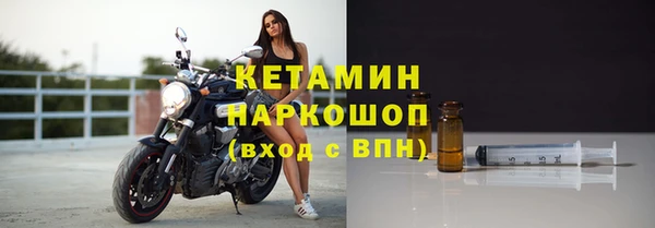 сатива Беломорск