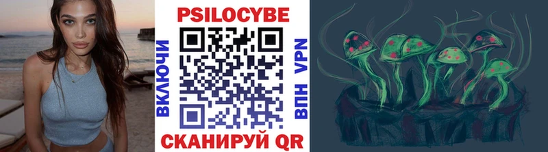 Псилоцибиновые грибы прущие грибы  как найти   Дорогобуж 